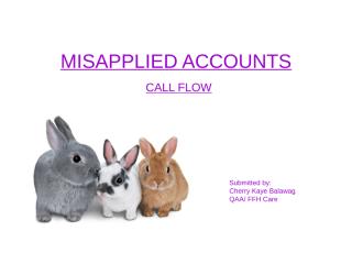 Misapplied Discounts_Call Analysis.ppt
