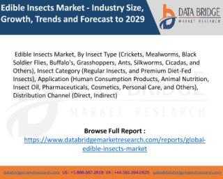 Edible Insects.pdf