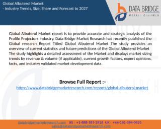 Albuterol Market report.pptx